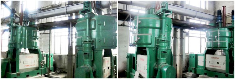 cotton seed oil processing plant machine