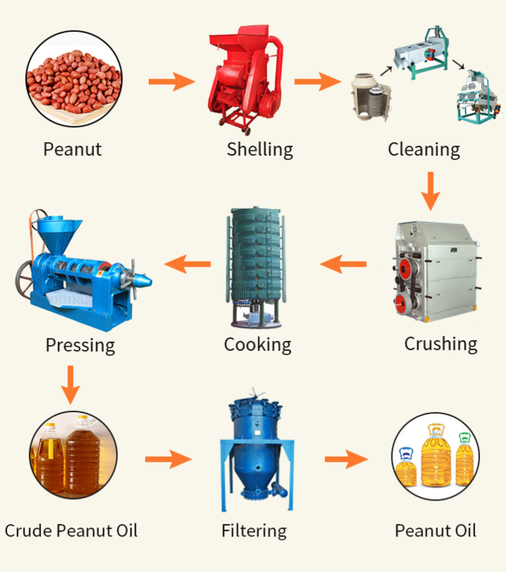 large peanut oil pressing line