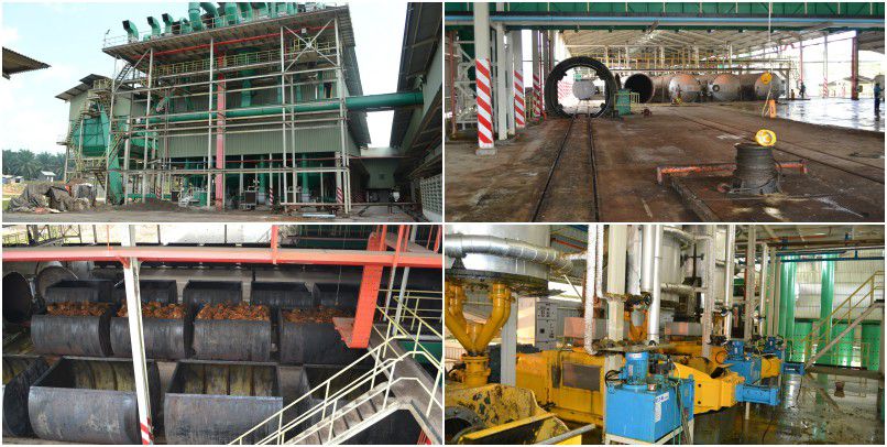 palm oil processing mill