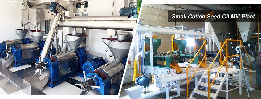 small cottonseed oil mill plant