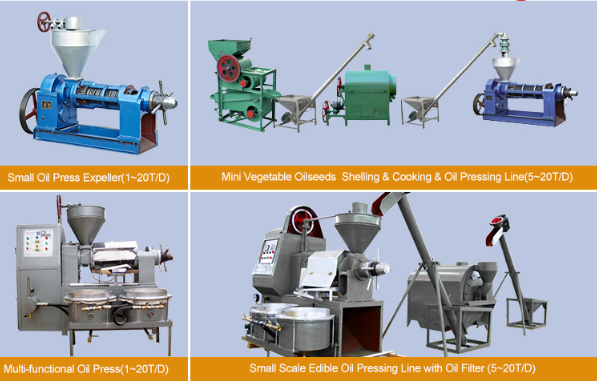 small vegetable oil press line
