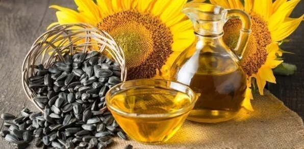 sunflower oil